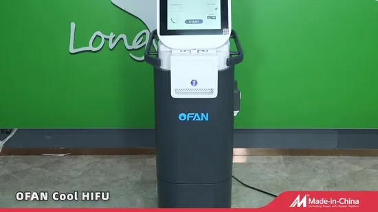 2023 Quente Popular Ultrassom Focado de Alta Intensidade Hifu Lifting Facial Antienvelhecimento Emagrecedor Beauty Machine Ultra 4D Hifu Vaginal Tightening Vmax Hifu Machine