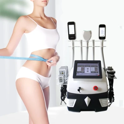 Atacado Cryolipolysis Lipolaser 40kHz Cavitação RF Multifuncional Máquina de Emagrecimento Beleza