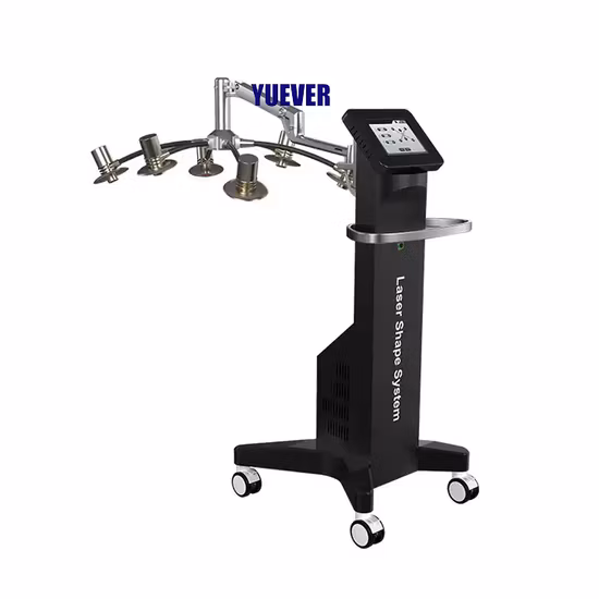 Body Slimming 2 Lipolaser de comprimento de onda Body Shape Dissolver gordura máquina de beleza