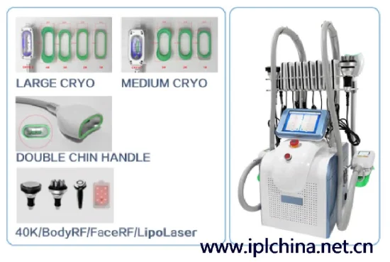 Venda imperdível 3 criolipólise 360 ​​xícaras queixo duplo beleza multifuncional equipamento de emagrecimento portátil 5 em 1 cavitação